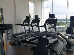 Miltonia Close (D27), Terrace #503515541